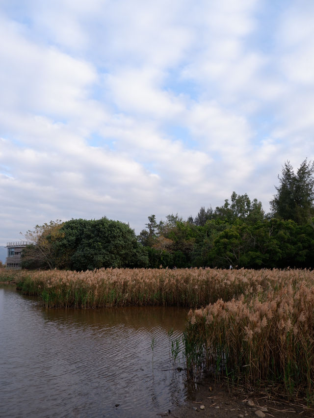香港秋冬景點：本地人才會去小眾公園 