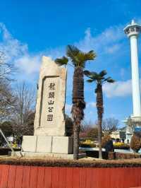 Sky High Serenity: Discovering the Charm of Busan Tower