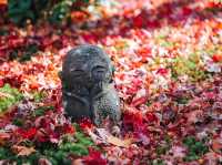 วัดเอ็นโคจิ (圓光寺, Enkōji) 