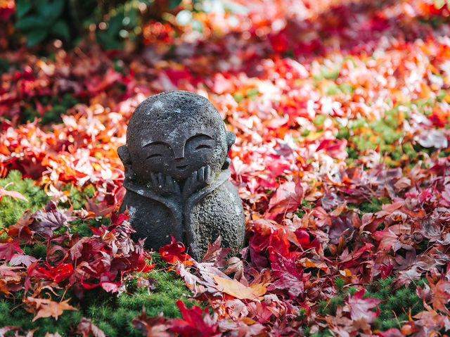 วัดเอ็นโคจิ (圓光寺, Enkōji) 