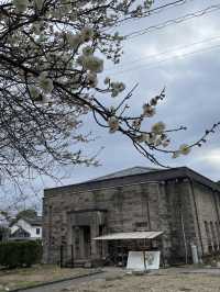 山口｜屹立逾350年 全木頭打造「不會倒的橋」岩國錦帶橋