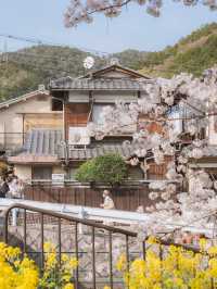 📍 This is what Kyoto will look like in a few months 