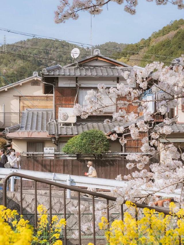 📍 This is what Kyoto will look like in a few months 