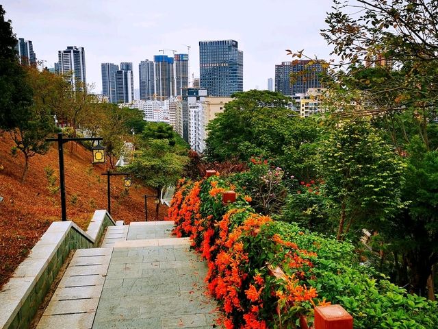 玉龍公園