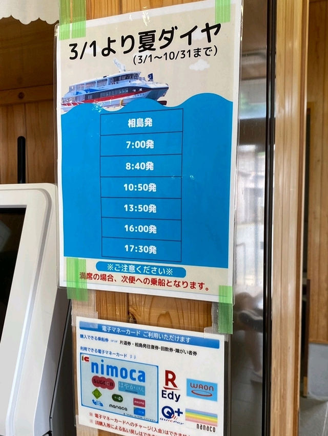 🐱 후쿠오카 아이노시마 섬에서 만난 고양이 천국! 🏝️