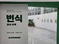 대한민국 충청남도 국립 세종 수목원 입니다.