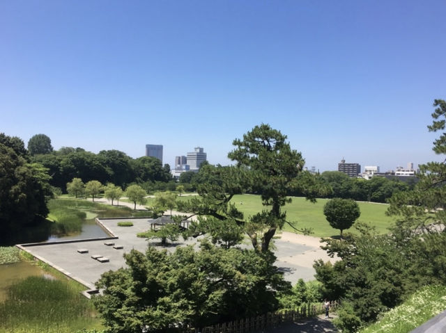 도쿄국립서양미술관🖼️