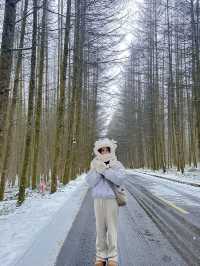 Guangwu Mountain, Nanjiang County