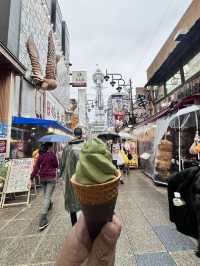 My First Taste of Japan: A Culinary Adventure