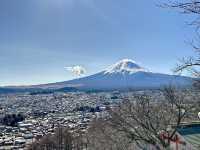 日本｜富士山與忍野八海