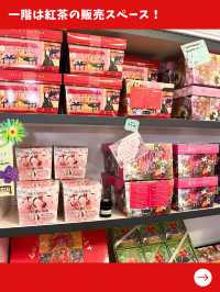 【東京女子旅】紅茶好きは絶対行って！スコーンと紅茶がおかわりし放題の天国があった！