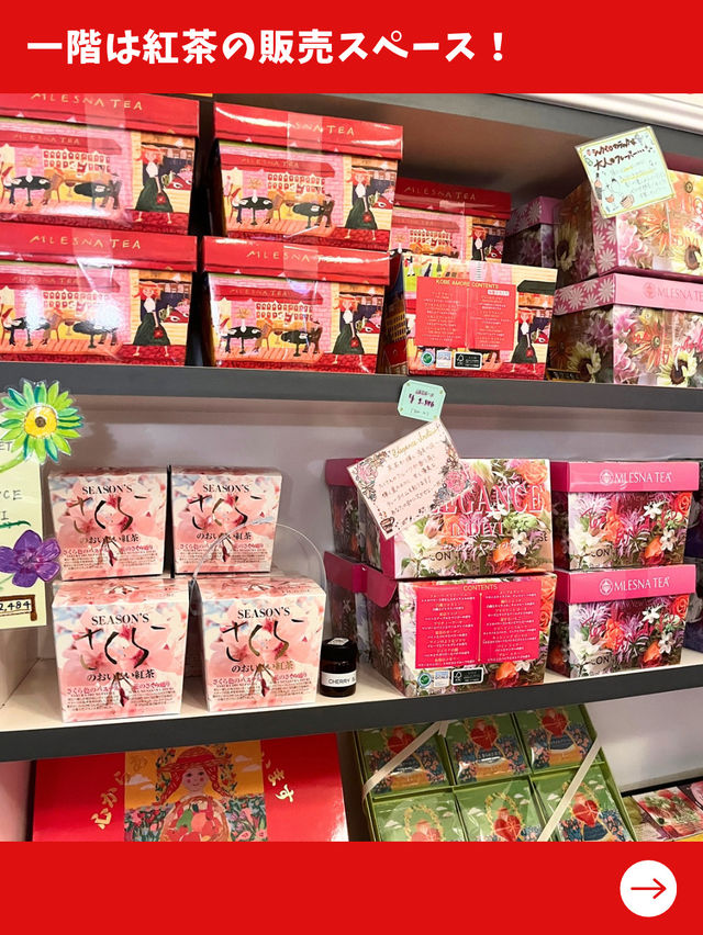【東京女子旅】紅茶好きは絶対行って！スコーンと紅茶がおかわりし放題の天国があった！
