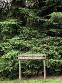 Hidden wonders beyond Apollo Bay