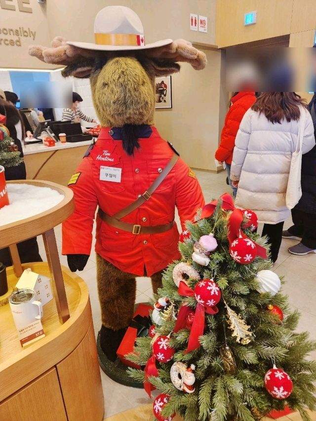 팀홀튼
