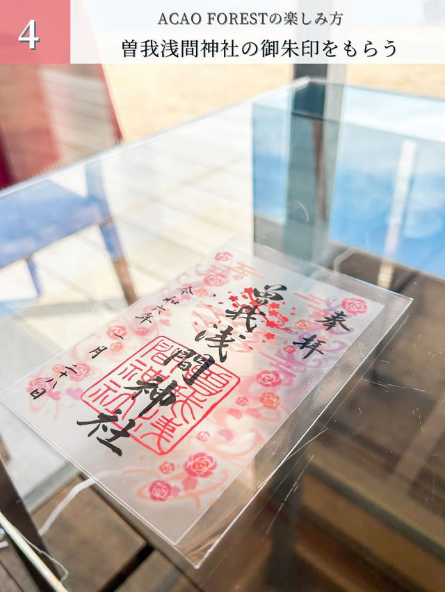ガーデンとカフェが魅力的な熱海の観光スポット🌸