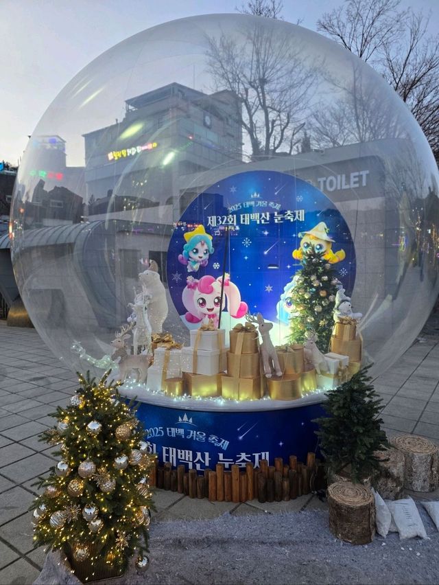 티니핑이 함께하는 태백 눈꽃축제✨️