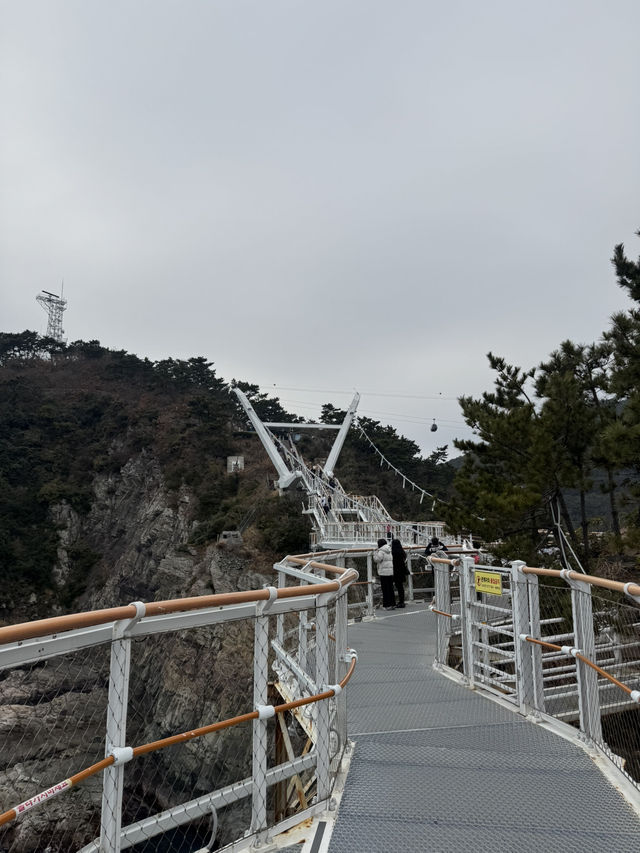 釜山5日慢遊