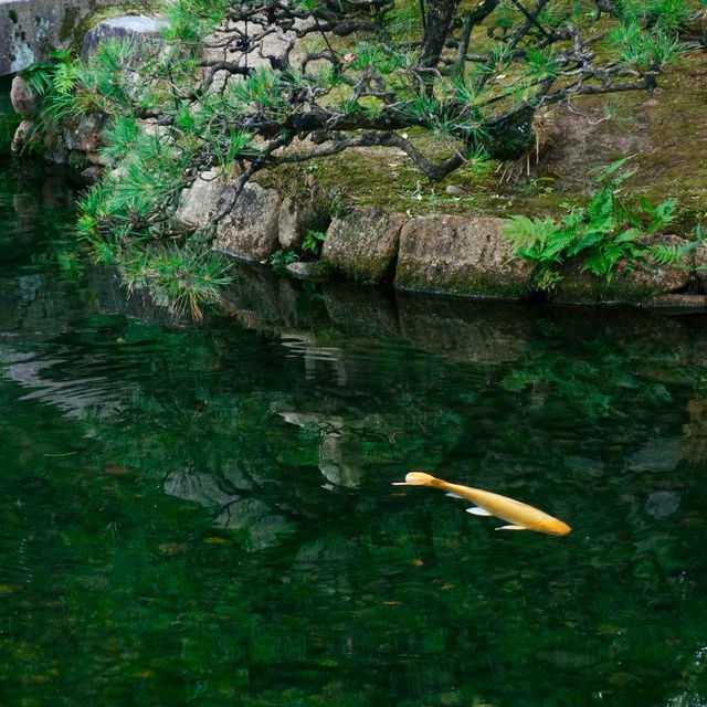 ～舞鶴公園～沉淀在時光中的靜謐～