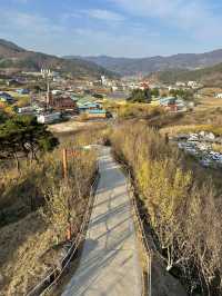 구례 대표적인 봄 축제, 구례 산수유마을 🌼