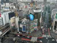 Tokyo from the Clouds: Experience Shibuya Sky