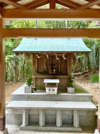 【和歌山県】急勾配の坂と竹林の先にある神社