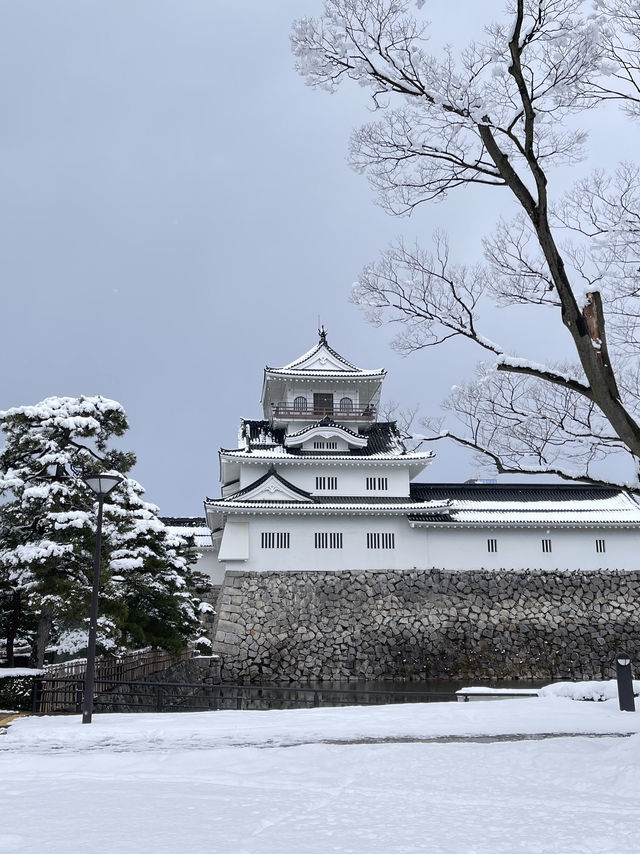 ปราสาทโทยามะ Toyama Castle Ruins