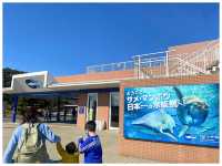 【茨城/大洗】サメの飼育種類数日本一‼︎＊アクアワールド茨城県大洗水族館＊