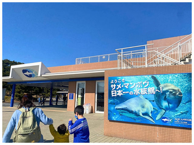 【茨城/大洗】サメの飼育種類数日本一‼︎＊アクアワールド茨城県大洗水族館＊