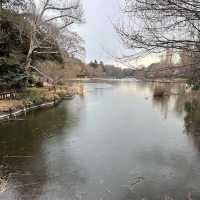 Inokashira Park (井の頭公園)