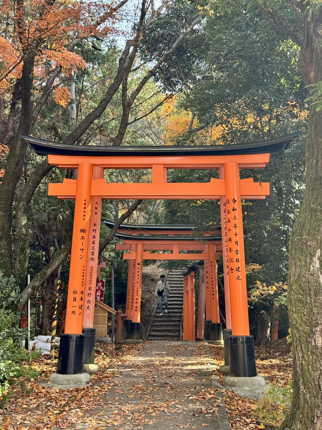 Kyoto - Điểm dừng mùa thu không thể bỏ 