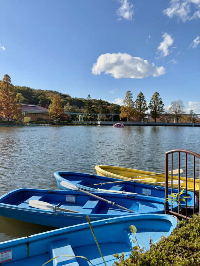 東山植物公園湖泊-多元化水上設施，悠閑享受自然美景