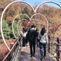 Hwadam Botanic Garden: A Hidden Natural Paradise