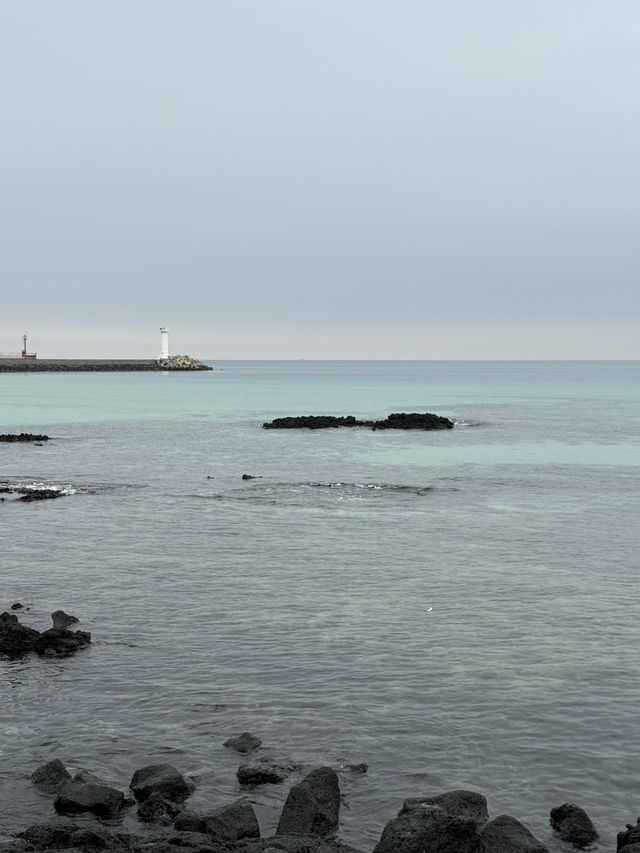 세화 해변, 제주 동쪽의 에메랄드빛 힐링 스팟 🌊✨