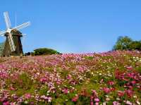 Spring Spectacle: Hiking through Flower Expo Memorial Park Tsurumi Ryokuchi