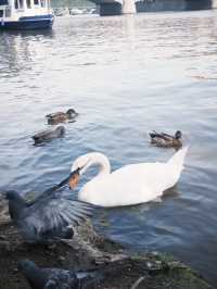 Spring Serenity at Park Cihelna: A Riverside Retreat