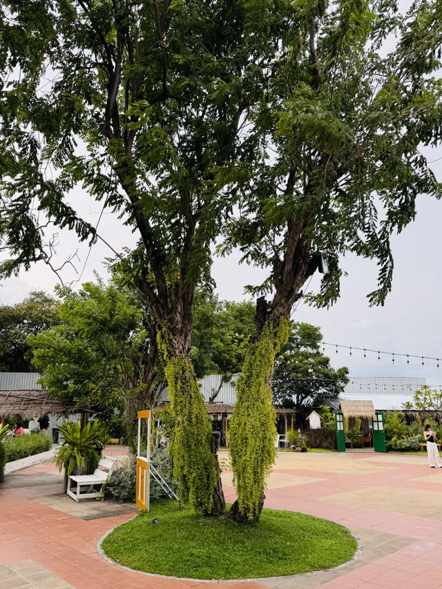 สัมผัสความชิลที่ Chaplu Cafe & Restaurant หัวหิน 
