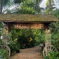คาเฟ่สไตล์วินเทจ "Long-Dong หลงดง" 🌳🥤