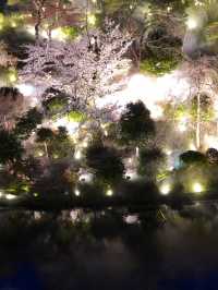 【東京×椿山荘】ライトアップで浮かび上がる夜桜雲海
