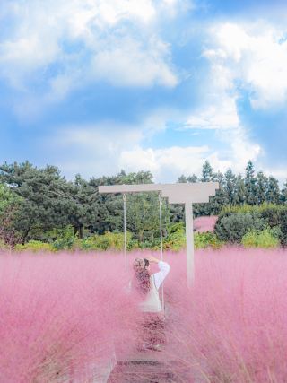 핑크 뮬리 보러 가기 좋은 제주 여행지💖