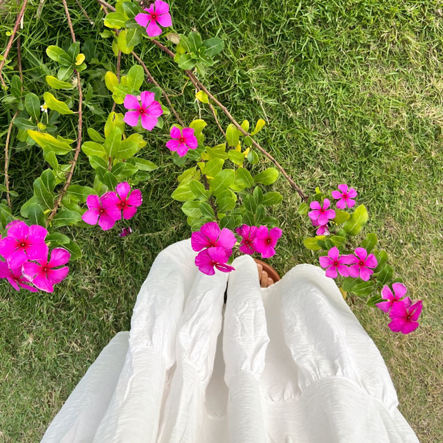 คาเฟ่น่ารักๆที่พัทยา 🌸🍃 𝗥𝗲𝗺𝗶𝗻𝗱 𝗖𝗮𝗳𝗲 