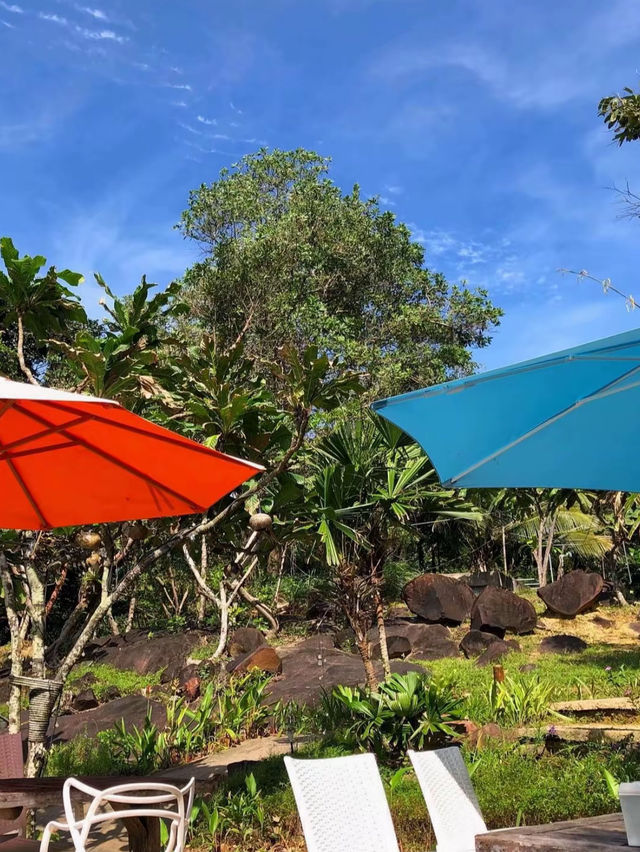 คาเฟ่ลับๆ บนเกาะกูด ✨🏝️