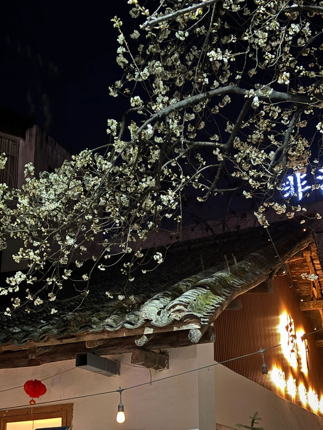 Cherry Blossom trip to Shangluo 🌸 Cherry Blossom trip to Shangluo 🌸