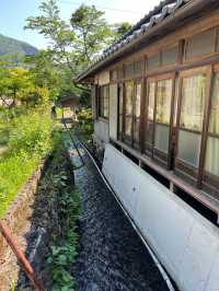 Solo Spring Getaway in Yufuin