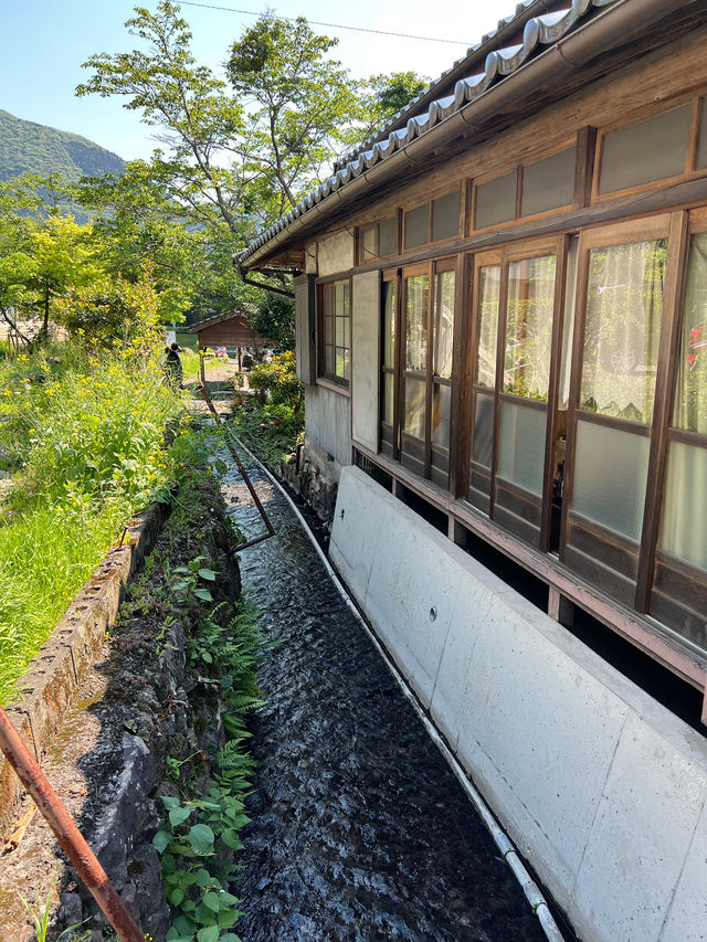 Solo Spring Getaway in Yufuin