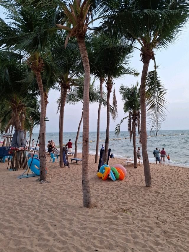 One day trip in Pattaya