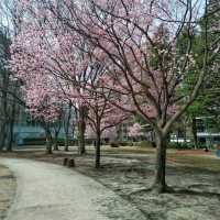 錦町公園