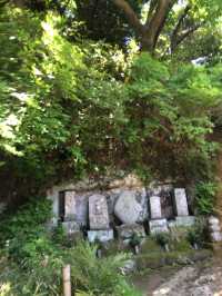 【鎌倉アルプス:北鎌倉・山之内・今泉の秘境から二階堂まで。散在ヶ池公園・陰陽滝・天園ハイキングコース 】