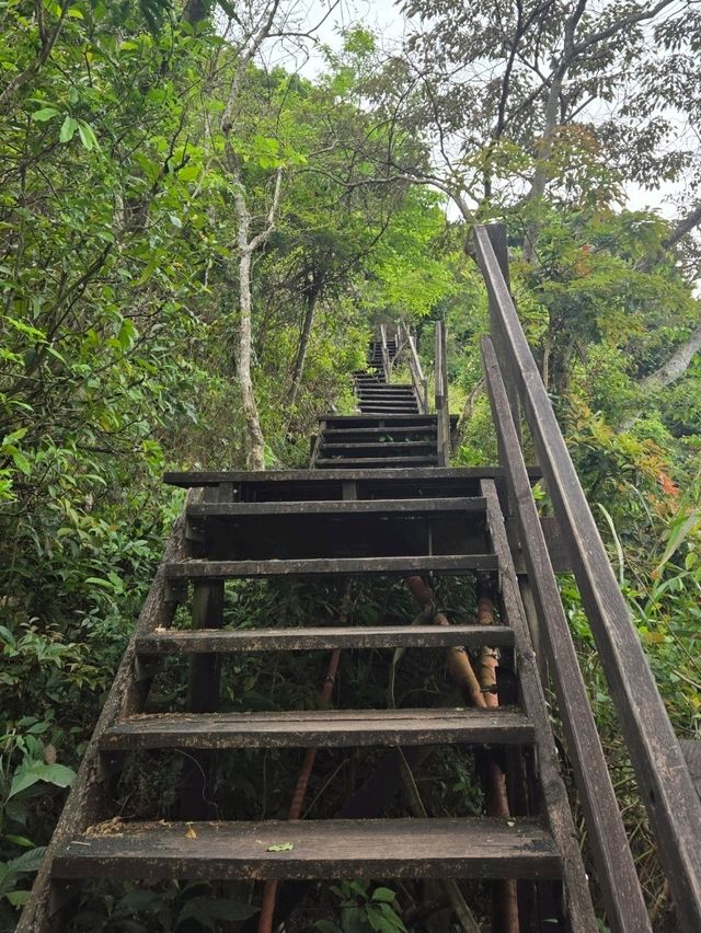 香港行山⛰️東涌站至昂坪市集