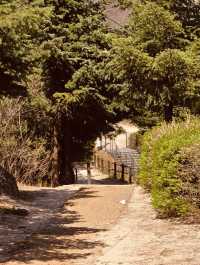 Spring Strolls with a View: Dalmaji Park's Scenic Pathways