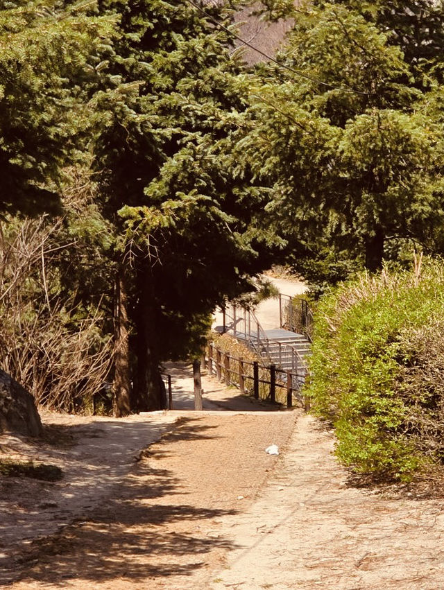 Spring Strolls with a View: Dalmaji Park's Scenic Pathways